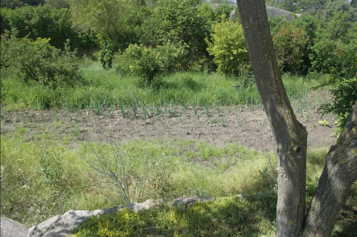 Masoveria la Roca Sagas Exterior foto